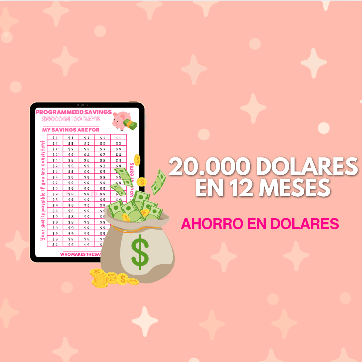 20.000 dólares en 12 meses