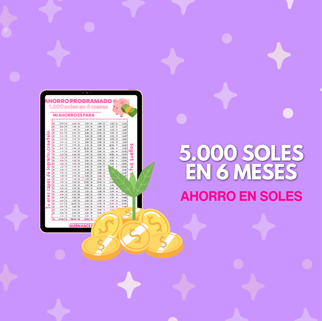 5.000 soles en 6 meses